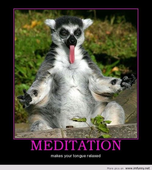 Animal Doing Meditation and Sticking Its Tongue Out