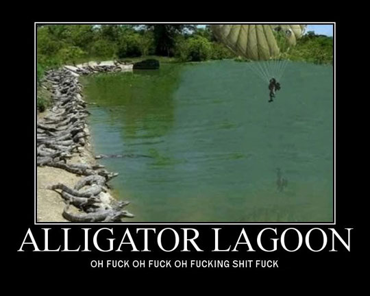 Alligator Lagoon: "Oh shit!"