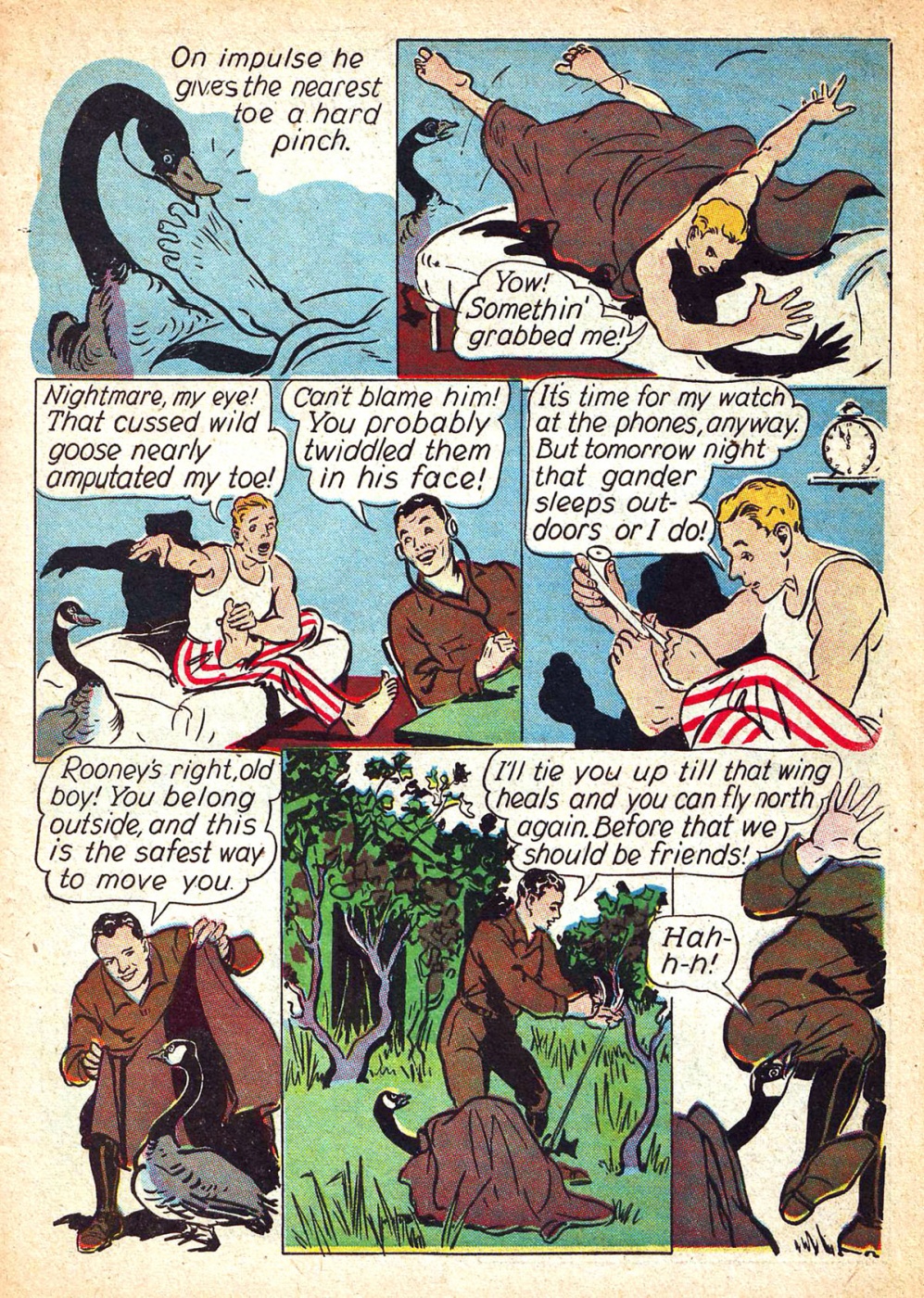 Funny Animal Comics (13)