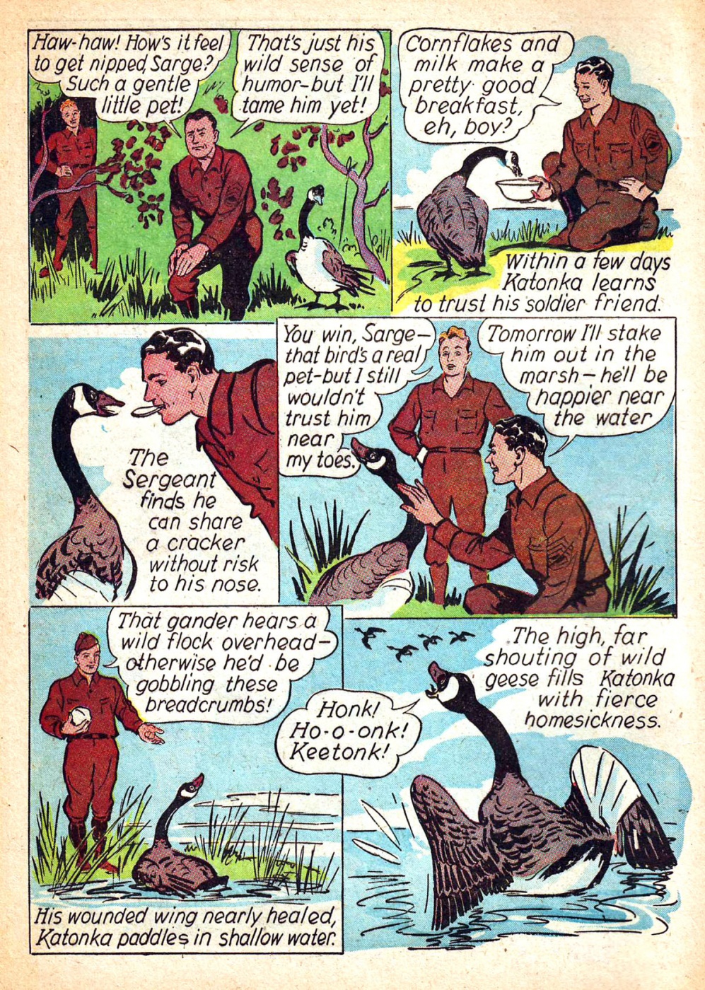 Funny Animal Comics (14)