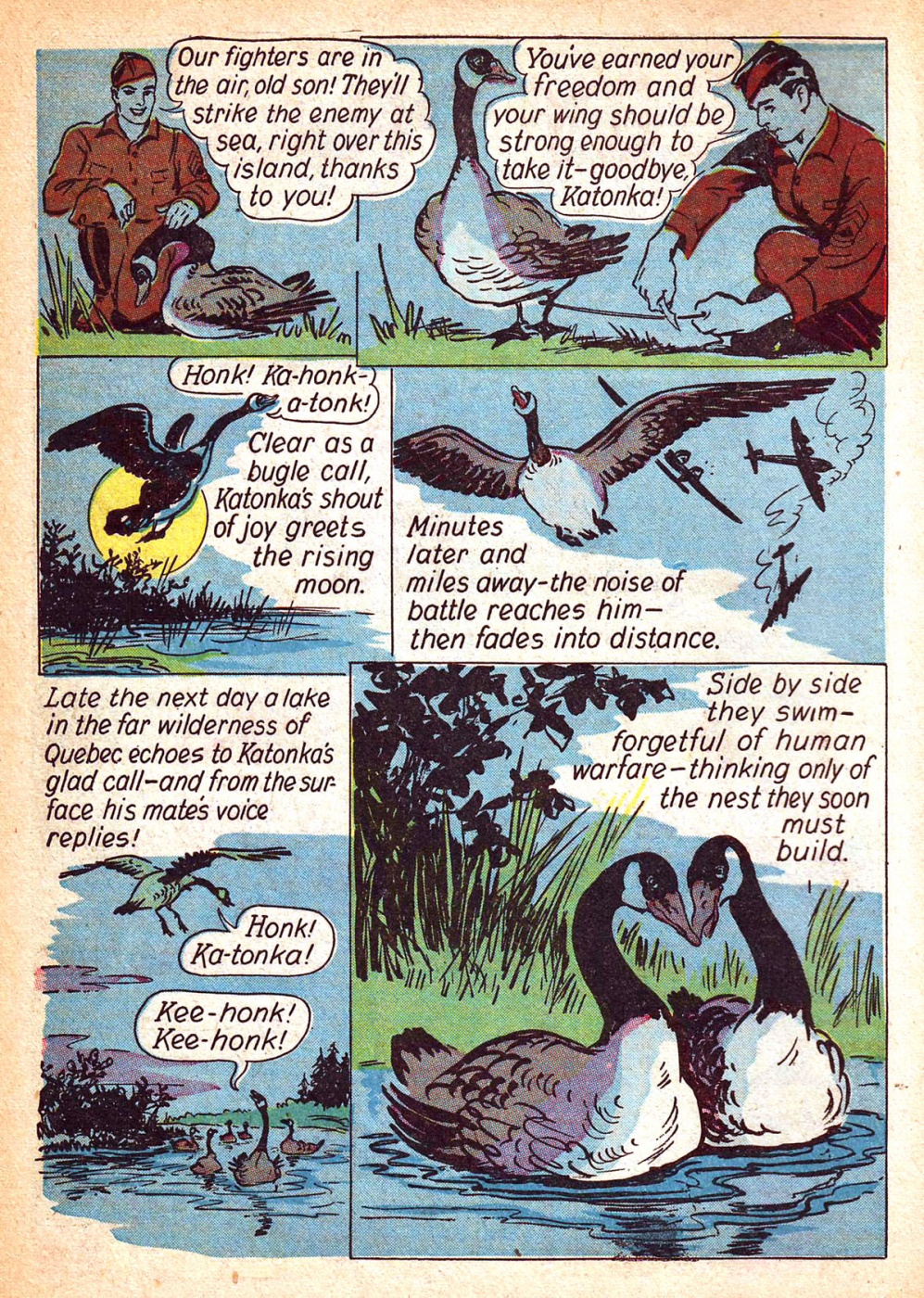 Funny Animal Comics (18)