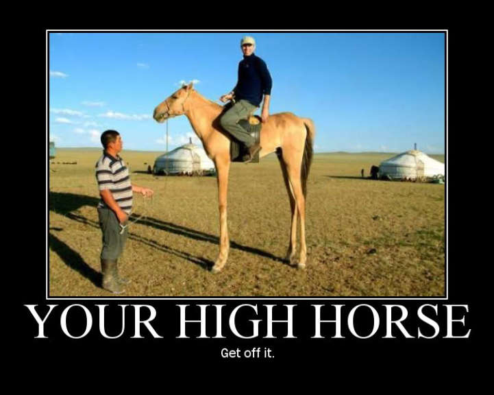 Your High Horse - Get Off It