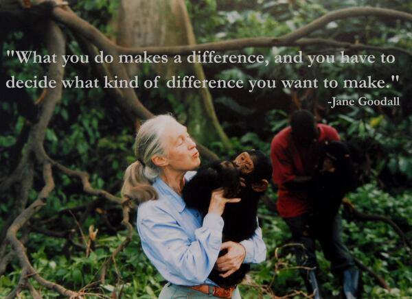 Jane Goodall Quotes About Making A Difference