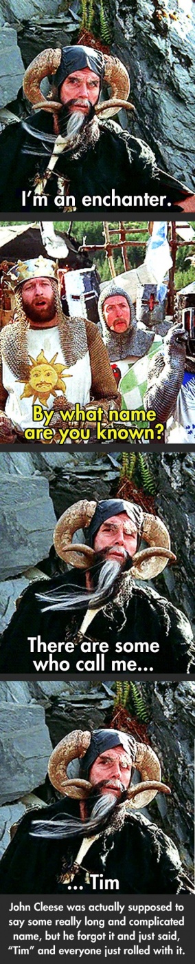 Monty Python And The Holy Grail Quotes By Tim The Enchanter