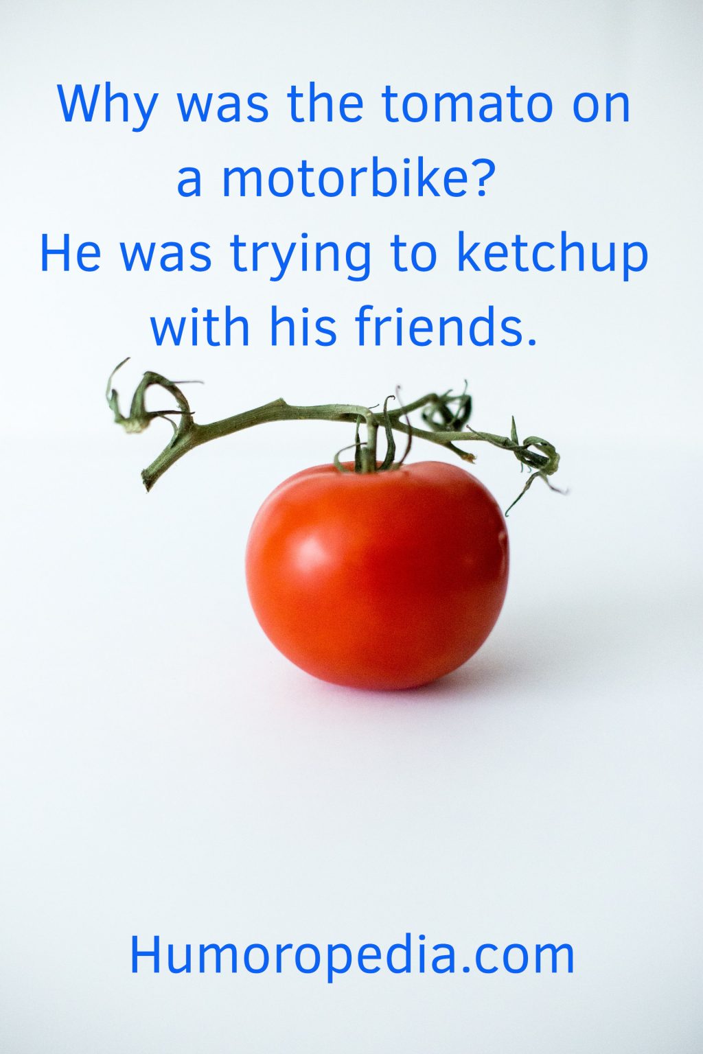 Tomato Puns Jokes 27 Best To Make You Smile Away