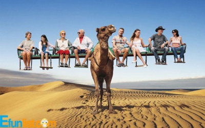 People Siting on Funny Camel