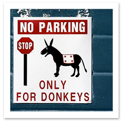 Funny Travel Stories - Parking Only for Donkeys