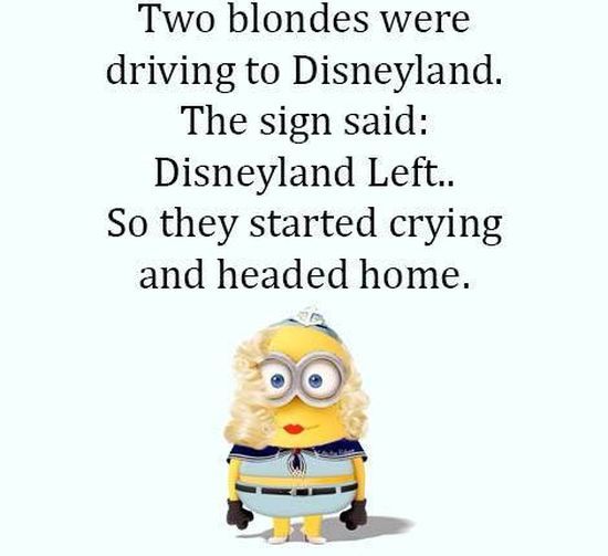 Funny Dumb Blonde Jokes About Disneyland