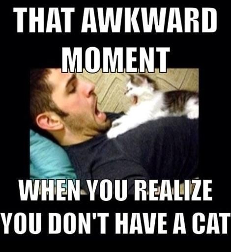 Funny Awkward Moments - When You Realize You Don't Have A Cat
