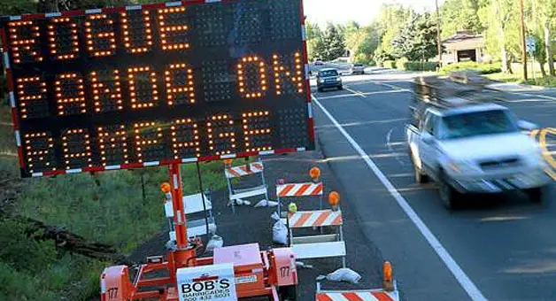 Funny Road Sign - Rogue Panda on Rampage