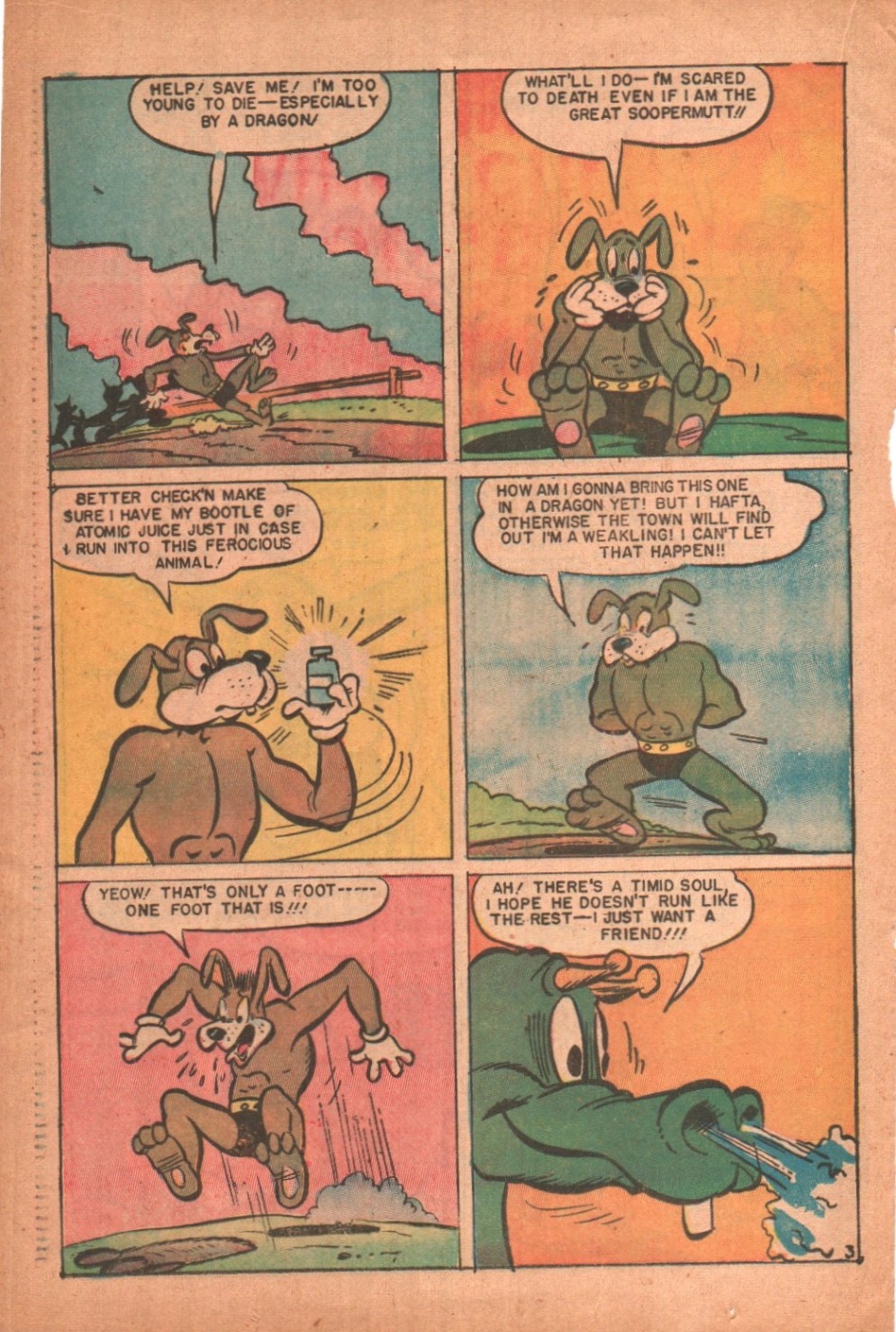 Animal-Adventures-Comic-Strips (b) (20)
