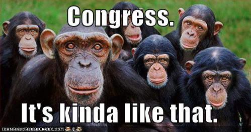 congress-like-that-funny-pic