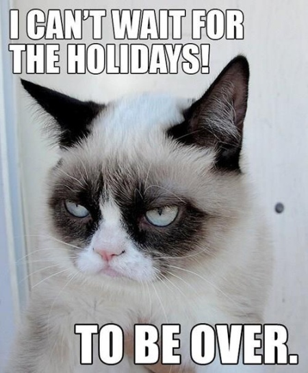 Funny-Grumpy-Cat-Holidays