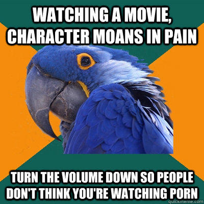 Paranoid Parrot Funny Pictures About The Reason For Turning Down The Volume