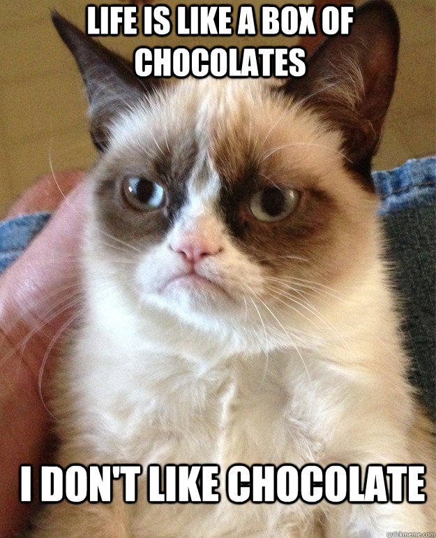 funny-grumpy-cat-chocolate