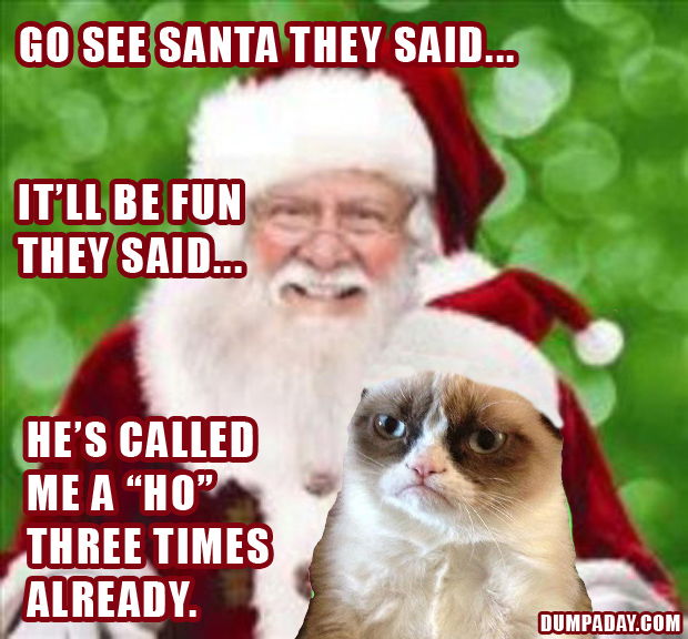 funny-grumpy-cat-christmas