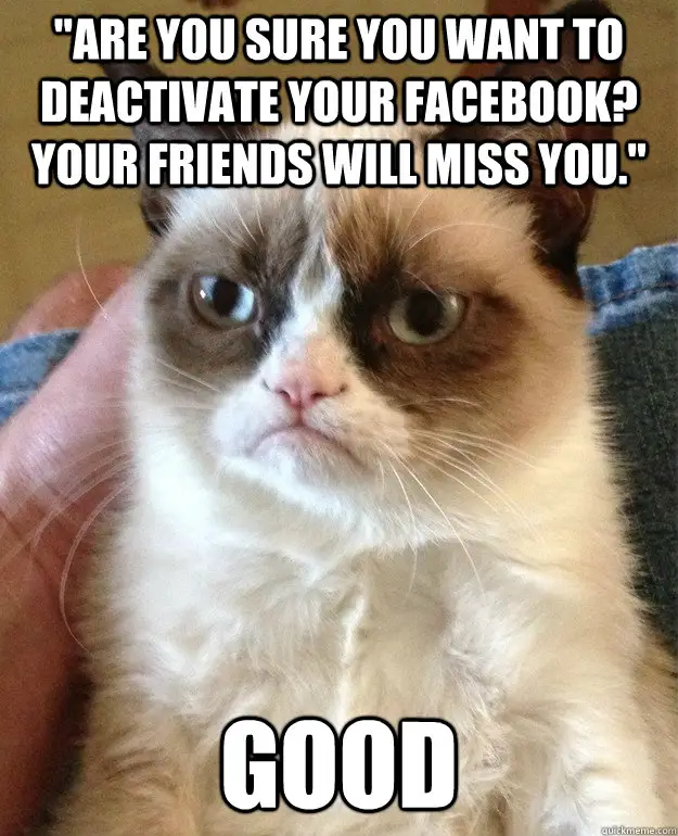 funny-grumpy-cat-friends