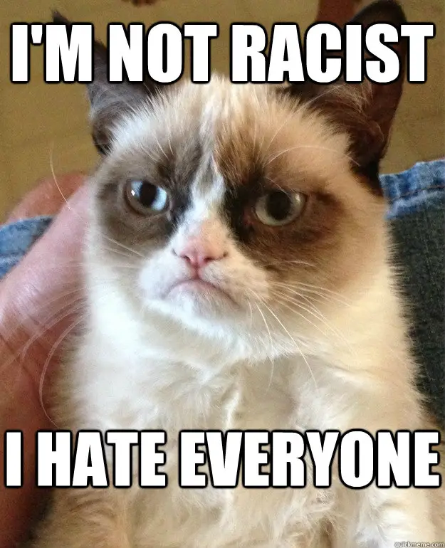 funny-grumpy-cat-hates-everyone