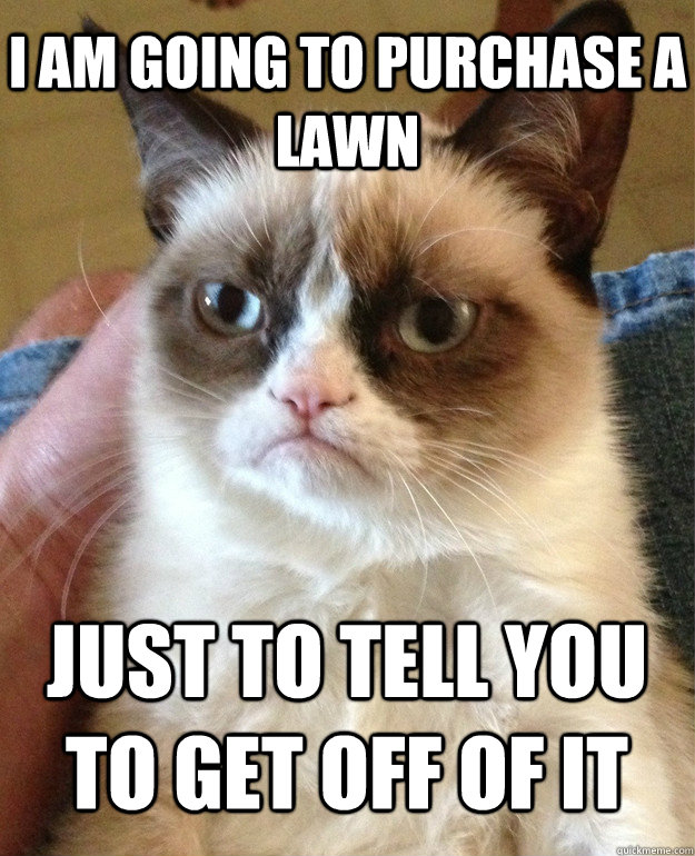 funny-grumpy-cat-lawn