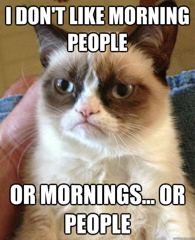 funny-grumpy-cat-mornings