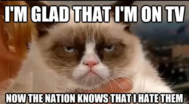 funny-grumpy-cat-on-tv