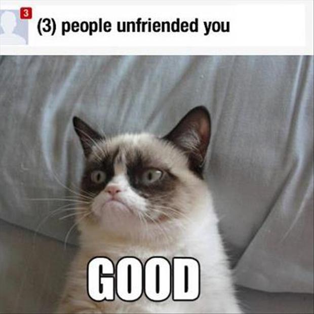 funny-grumpy-cat-pictures-unfriended