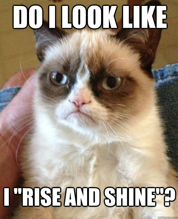 funny-grumpy-cat-rise-and-shine