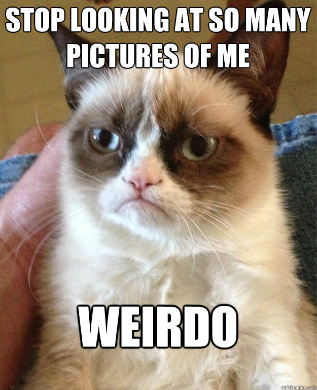 funny-grumpy-cat-weirdo