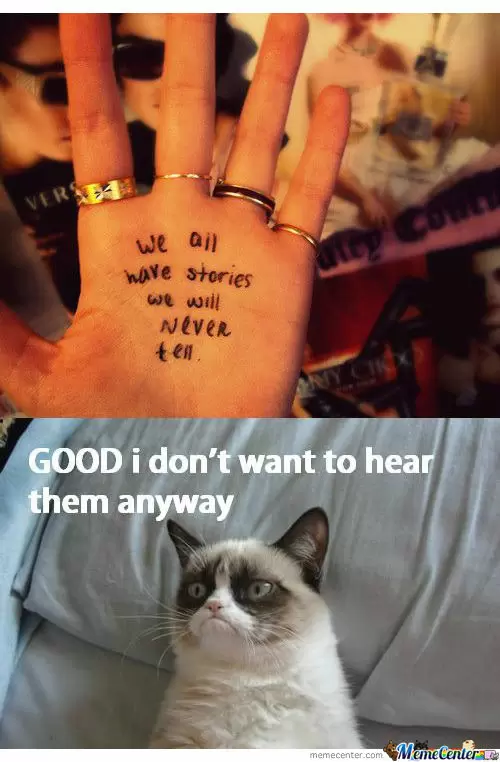 grumpy-cat-stories