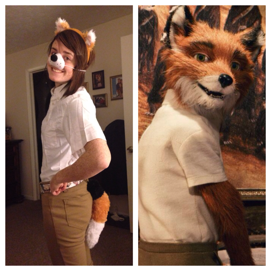 Adorable Fantastic Mr Fox Costume