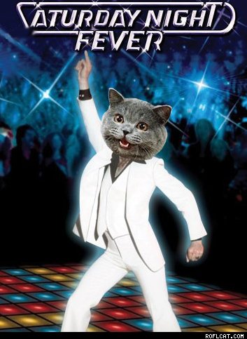 Caturday-Night-Fever