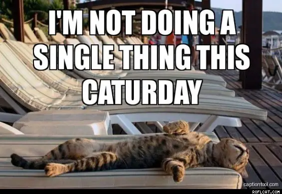 Lazy-Caturday