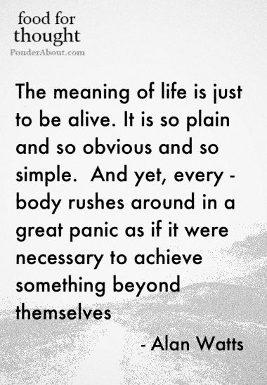 Alan Watts Quotes On Life