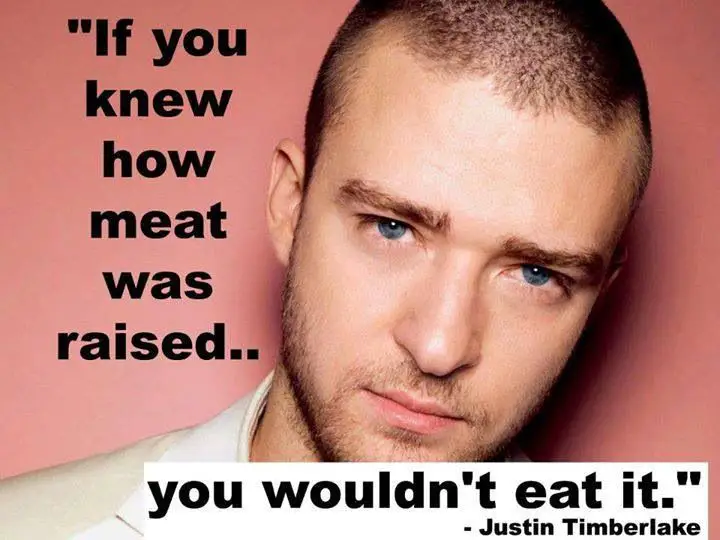 Justin Timberlake Quotes About Eating Meat