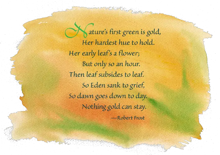 Famous Robert Frost Quotes About Nature