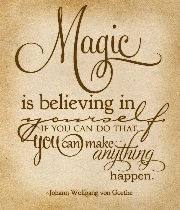 Johann Wolfgang von Goethe Quotes About Believing In Yourself