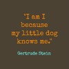 31 Gertrude Stein Quotes That Will Help You Discover Yourself