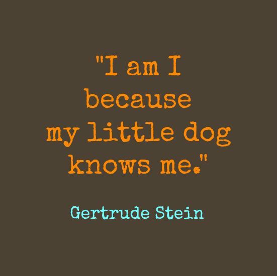 Funny Gertrude Stein Quotes