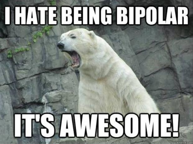 bipolar bear - funny meme