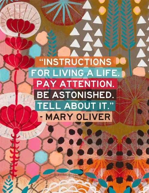 Best Mary Oliver Poems