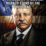 Theodore Roosevelt Quotes About Patriotism