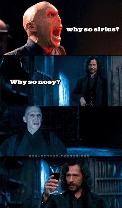 Pin by Ed on Movies  Harry potter funny, Funny harry potter jokes, Harry  potter jokes