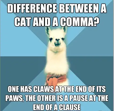 20 Really Funny Grammar Jokes And Puns | Laugh Away | Humoropedia