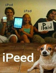 Funny Clean Pun About The Dog And iPad