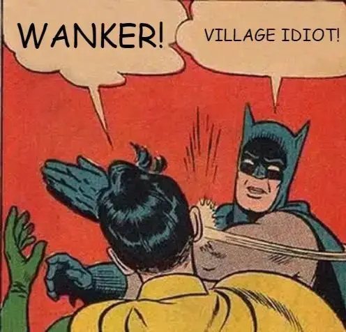 Robin And Batman Insulting Each Other With Funny Names