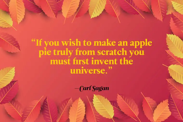 Funny Thanksgiving Toast Quote By Carl Sagan