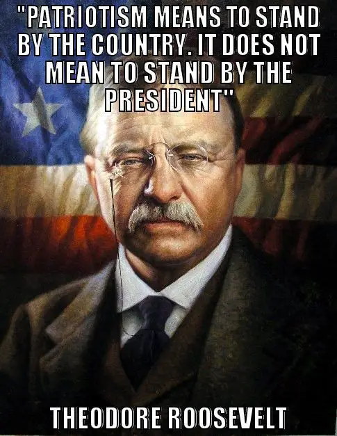 Brilliant One Liner Quote By Theodore Roosevelt