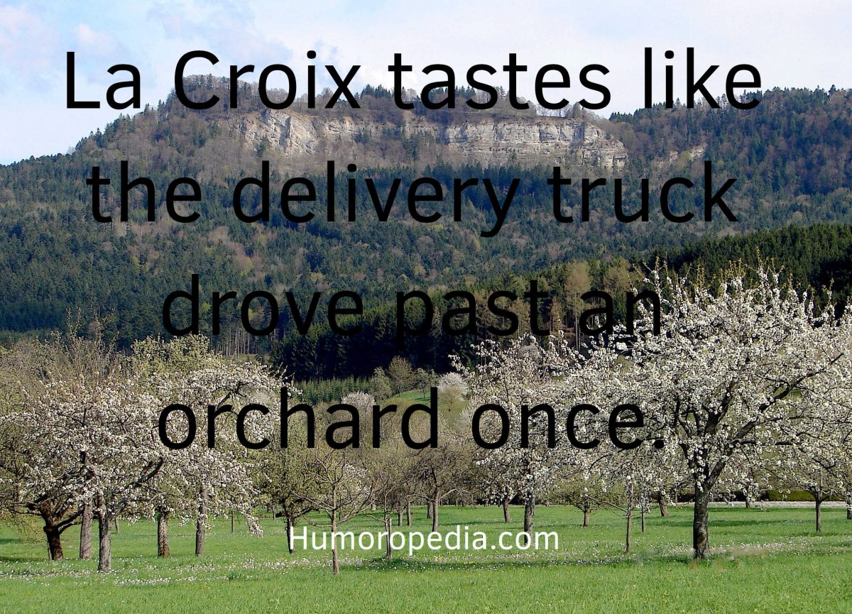 La Croix Meme About Its Taste