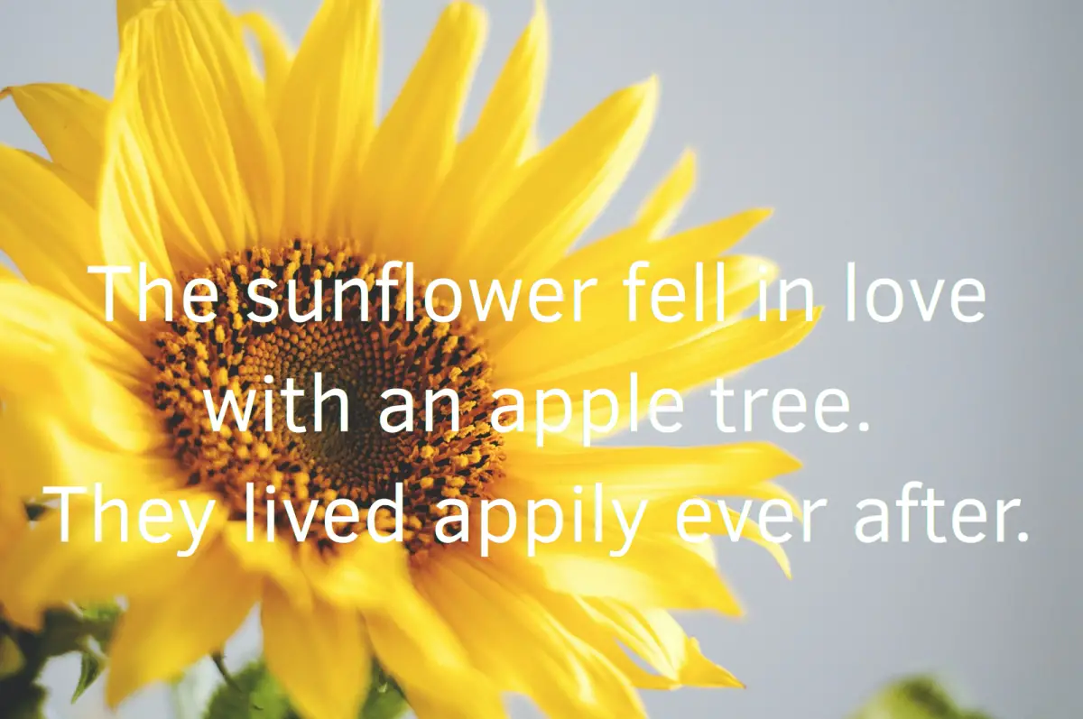 Sunflower Pun About Apple Tree