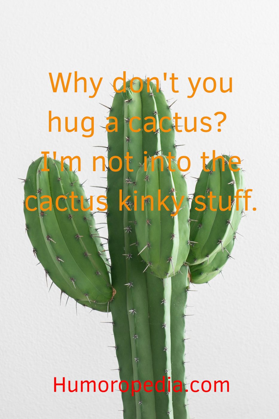 Funny Cactus Joke About A Hug